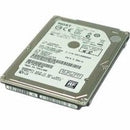 Internal Hard Disk 1TB HGST Used in Laptops Desktop and DVR CCTV Kanozon