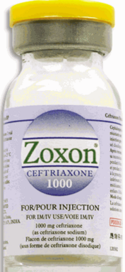 Zoxon Ceftriazome Injection 1000mg Treat many kinds of bacterial infections AIB Allied Product & PHARMACY Stores LTD
