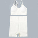 Yoga Set Women Tracksuit Fitness Sport Workout Suits Shipping From Abroad 20 Days