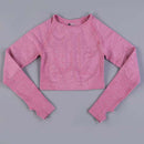 Sport Set Seamless Yoga Set Women Tracksuits Sportswear Shipping From Abroad 20 Days